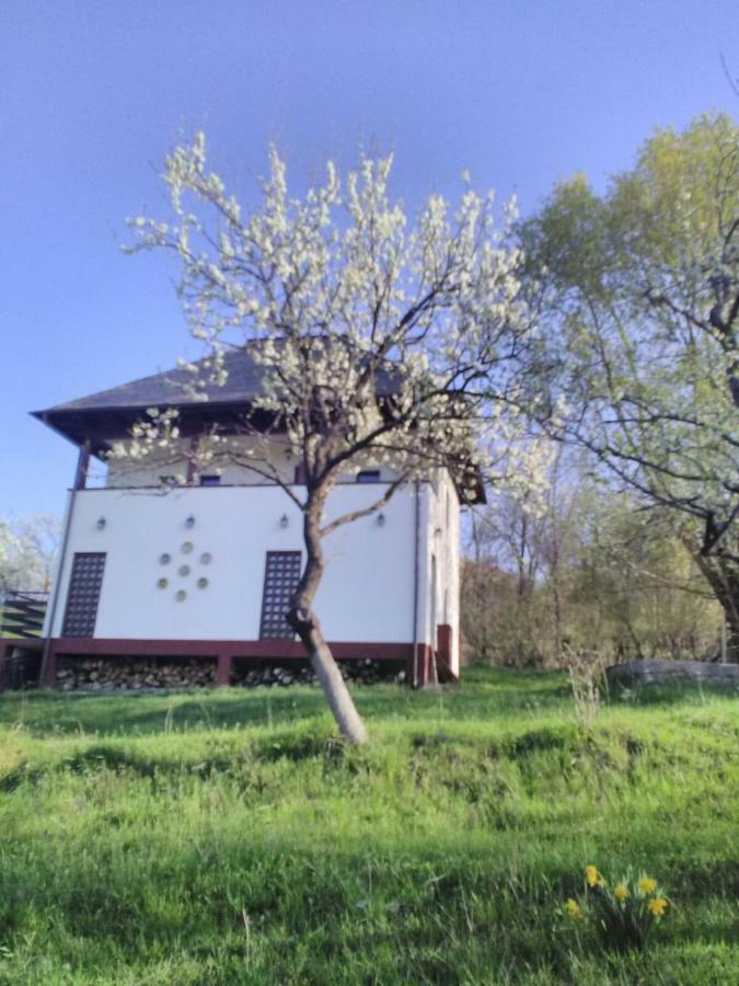 Cottage Poe Poienari Exterior photo